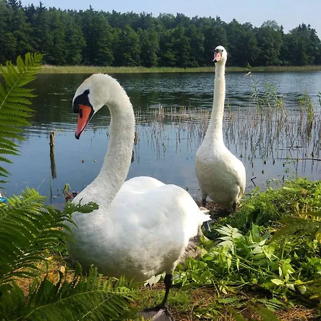 Turystyka Mazury Justyna Prázdninový dům